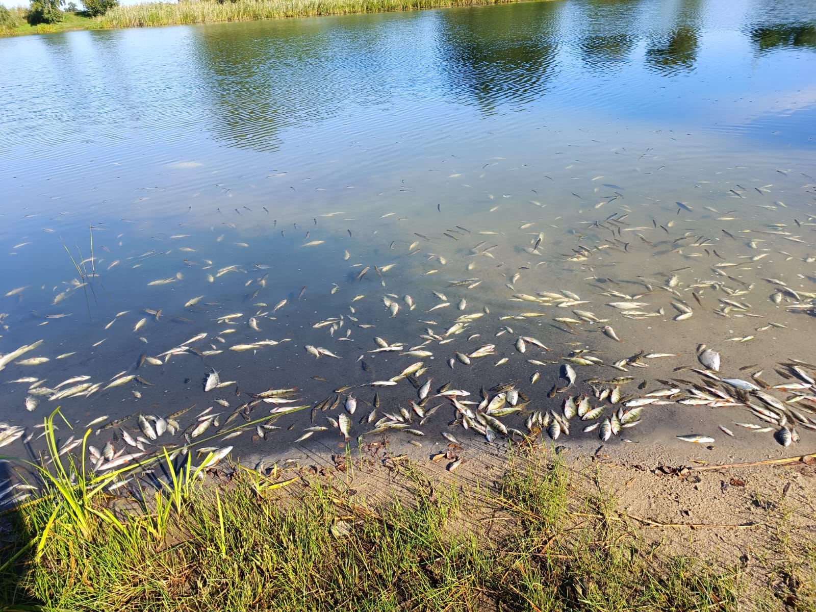 Sauerstoffmangel 2023